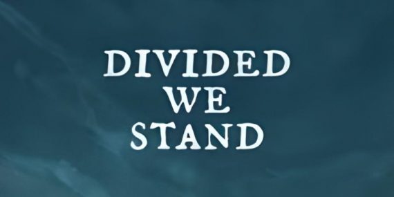 Divided we Stand